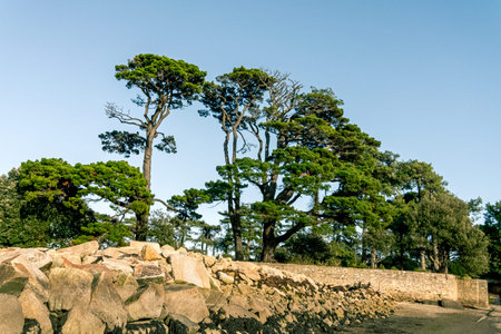 Road access to Bender Island in the Gulf of Morbihan. France.