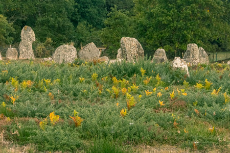 Alignments of Carnac, Menhir de Carnac in the Brittany region. France.の写真素材