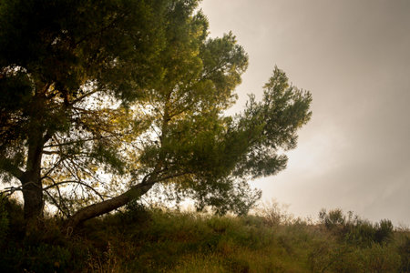Landscape and surroundings of the Mayes Reservoir in Murcia. Spain.