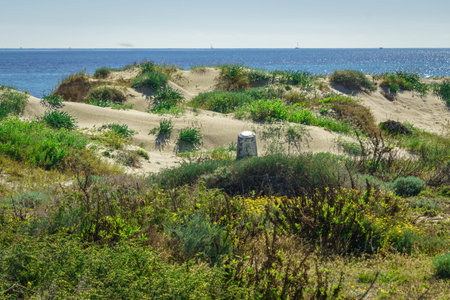 Regional Park of the salt flats and sandbanks of the Mar Menor. Murcia. Spain.