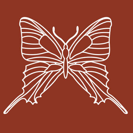 Sketch outline silhouette of a butterfly insect. Doodle line drawing.のイラスト素材