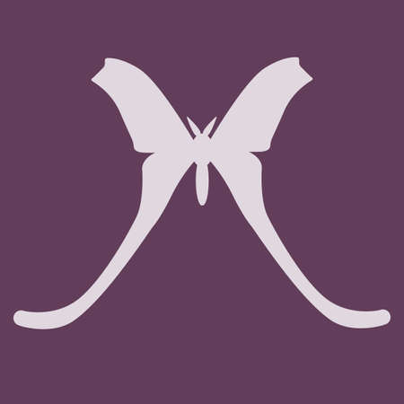 Butterfly insect silhouette outline.のイラスト素材