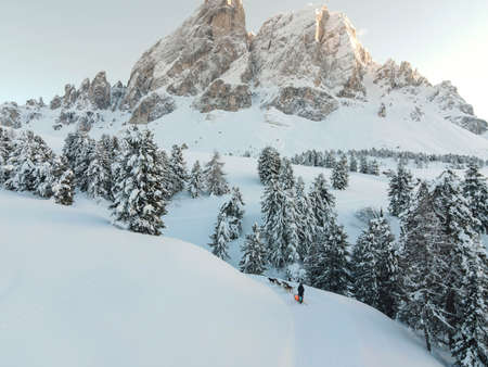 defaultSled dogs in the mountains - forrest. Huskies WÃ¼rzjoch South Tyrol. dogsの写真素材