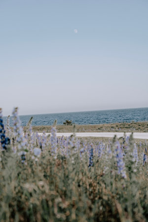 Playa Montana Bermeja 2の写真素材