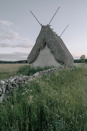 Old barn with thatched roof on Gotland, Sweden.の写真素材