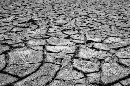 Cracks in dry lake