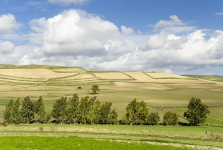 Sardinia, Trexenta countrysideの写真素材