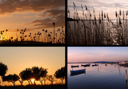 Collage of sunsetsの写真素材