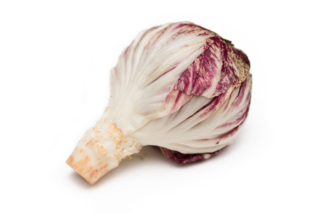 Red chicory isolated on whiteの写真素材
