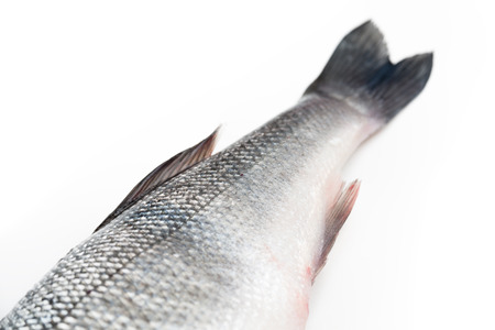 Fresh sea bassの写真素材