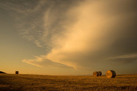 Sardinia, bales of hay