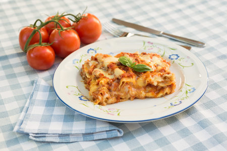 Lasagne, Italian Cuisineの写真素材