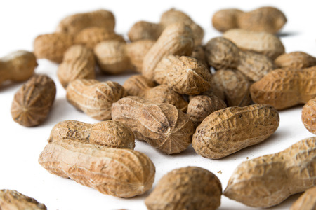 Peanuts isolated on whiteの写真素材