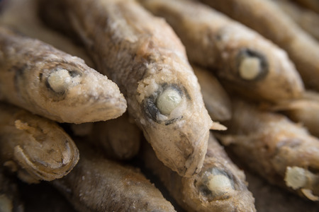 Fried fishesの写真素材