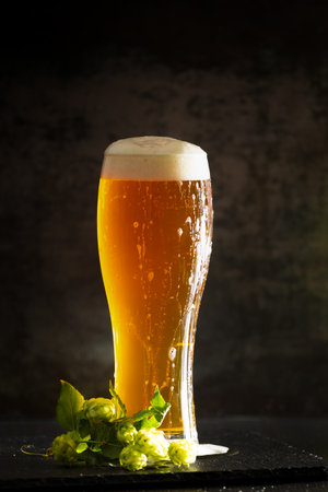 A glass of light beer with foam on a dark background and bunches of green hops. Unfiltered beer with foam spreading over the glassの写真素材