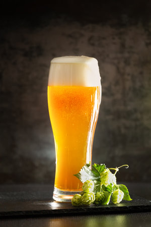 A glass of light beer with foam on a dark background and bunches of green hops. Unfiltered beer with foam spreading over the glassの写真素材