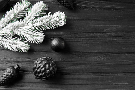 New Year's decor on a dark background with a place for text. Fir branch in the snow and Christmas...
