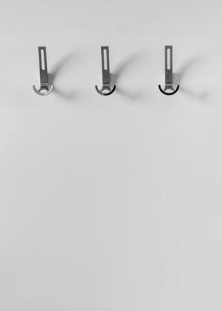 Hanger for outerwear with metal hooks on a white wall in a modern interior of the hallway of an...