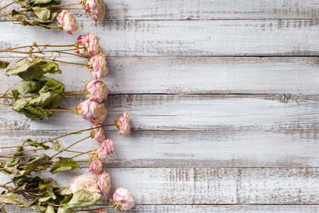 Dried rose branches on a light wooden background top view with space for text. The concept of loneliness or age. Unhappy love. A loss. sadness.の写真素材
