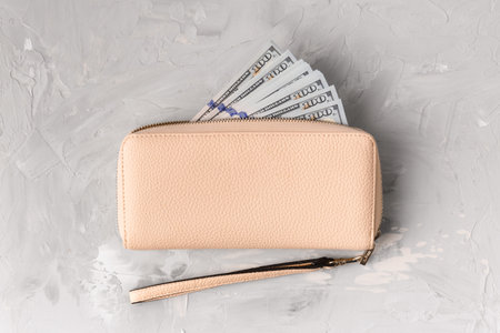 Stylish wallet with 100 dollars banknotes on a light gray background, top view. The concept of business, finance, wealth, success, financial independence.の写真素材