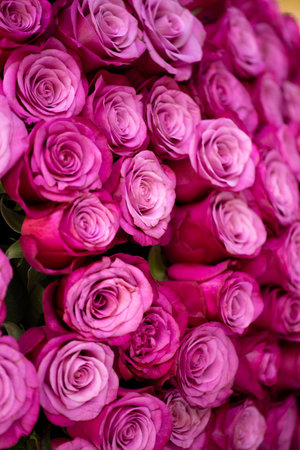 A huge bouquet of pink roses as a background. Postcard, blank for design, template. Women's Day, Mother's Day, Valentine's Day. Flower delivery. Floral background.の写真素材