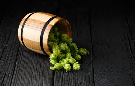 Green hops in a wooden barrel on a black wooden background, copy space. Brewing traditions. Oktoberfest. Beer Festival. St.Patrick's Dayの写真素材