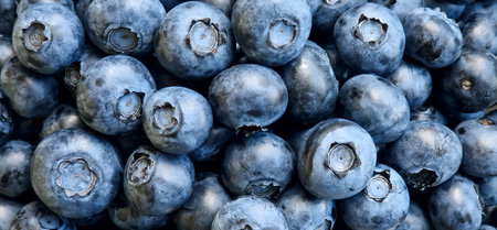 Blueberries close-up, background of blueberriesの写真素材