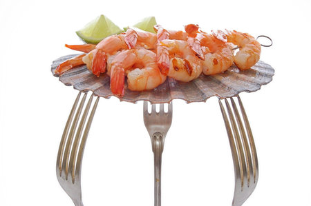 grilled prawns on a shell on a white backgroundの写真素材