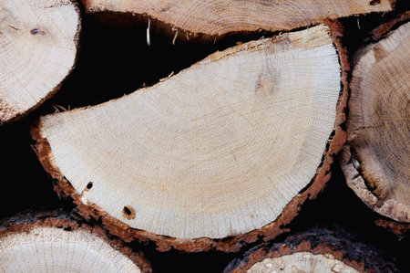 Oak
