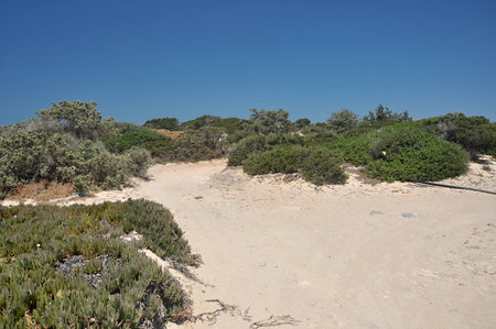 Cryssi islandの写真素材