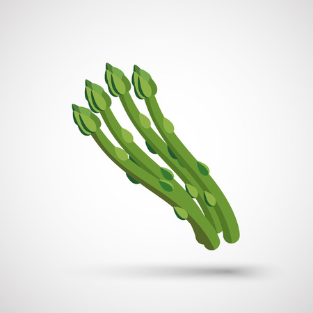 vector illustration of asparagus for vegetarian dietのイラスト素材
