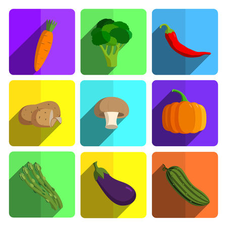 Colorful Vegetable Icon Set on Bright Backgroundの写真素材
