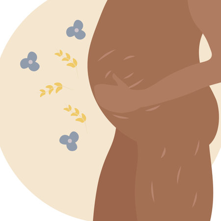 A dark-skinned pregnant womanのイラスト素材