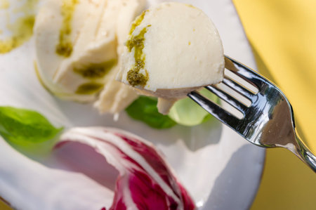 Plate of fresh burrata dish with red chicory and sweet basil leaves on the side