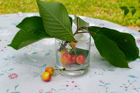Closeup shot of fresh cherries and a glass cup on a table