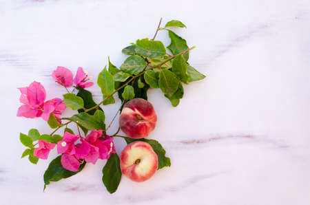 Top view of pink bougainvillea flower, fig peaches and lemon isolated on a white backgroundの写真素材