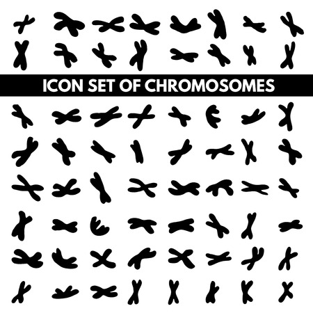 set of icons with human chromosome, black icons on white backgroundのイラスト素材