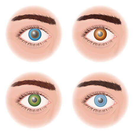 close-up human eye on a white backgroundのイラスト素材