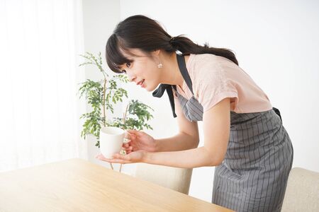 Smiling cafe staffの写真素材