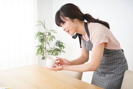 Smiling cafe staffの写真素材