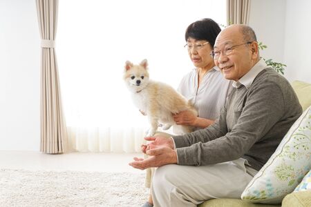 Aged couple having a dogの写真素材