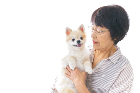 Aged woman buying a dogの写真素材