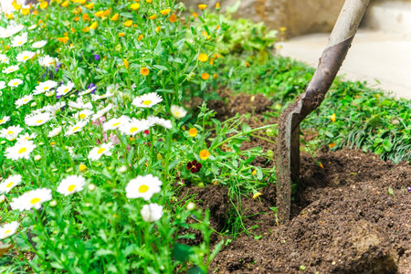 gardening