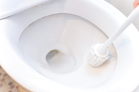 toilet cleaning imageの写真素材