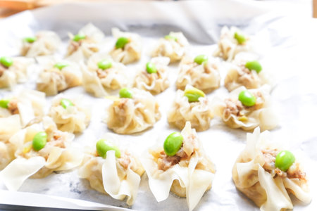 homemade steamed meat dumplingの写真素材