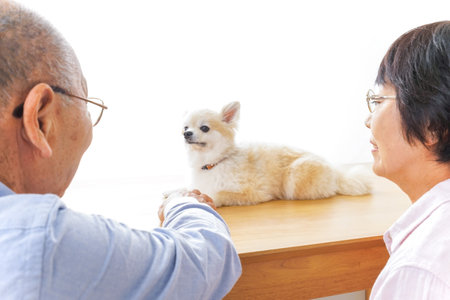 aged couple looking at dog in pet storeの写真素材