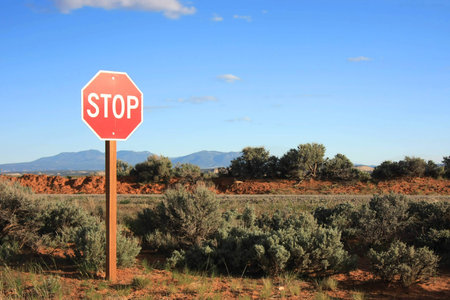 Stop sign in the middle of nowhere
