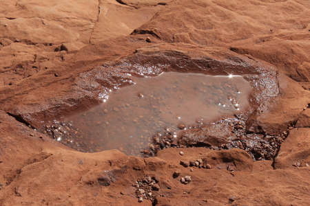 A close up shot of a small amount of water in the desert after the rainの写真素材