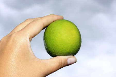 A female hand is holding a whole limeの写真素材