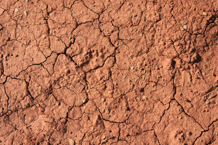 Dried soil from a top viewの写真素材